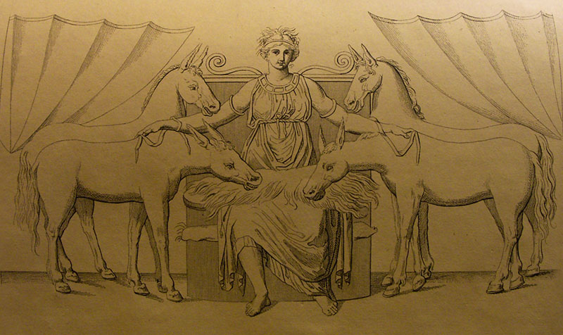 Goddess Epona