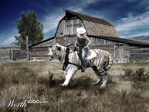 Lady Rides a Tiger