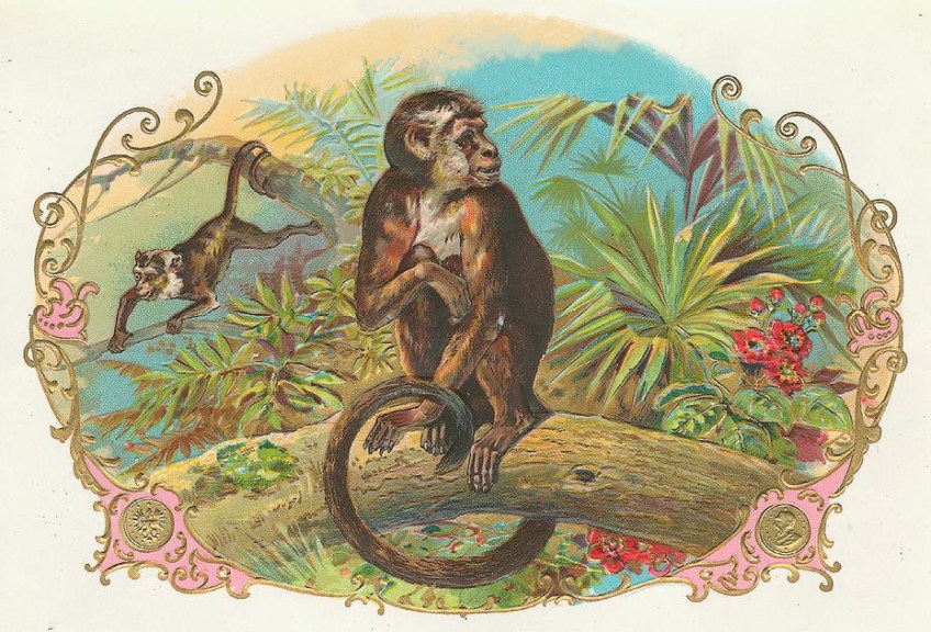 Good Luck | magic monkey