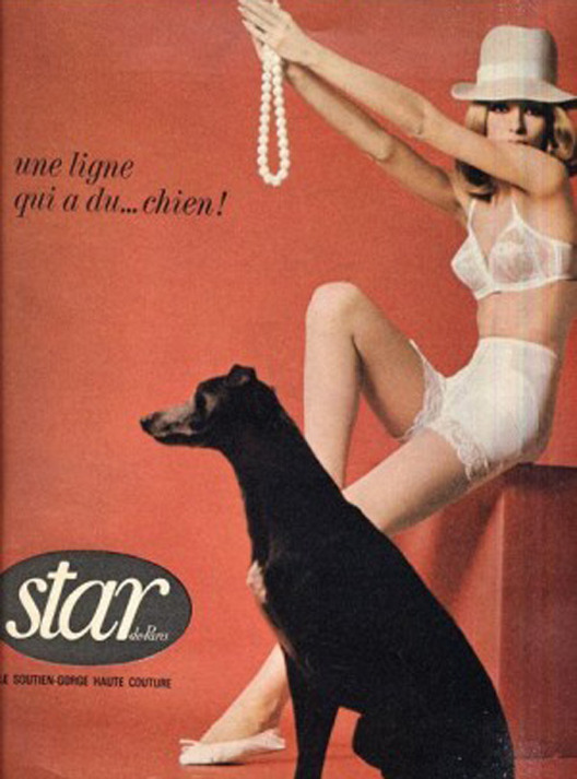 Star Dog | vintage ad
