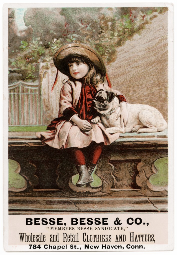 Dog trading card