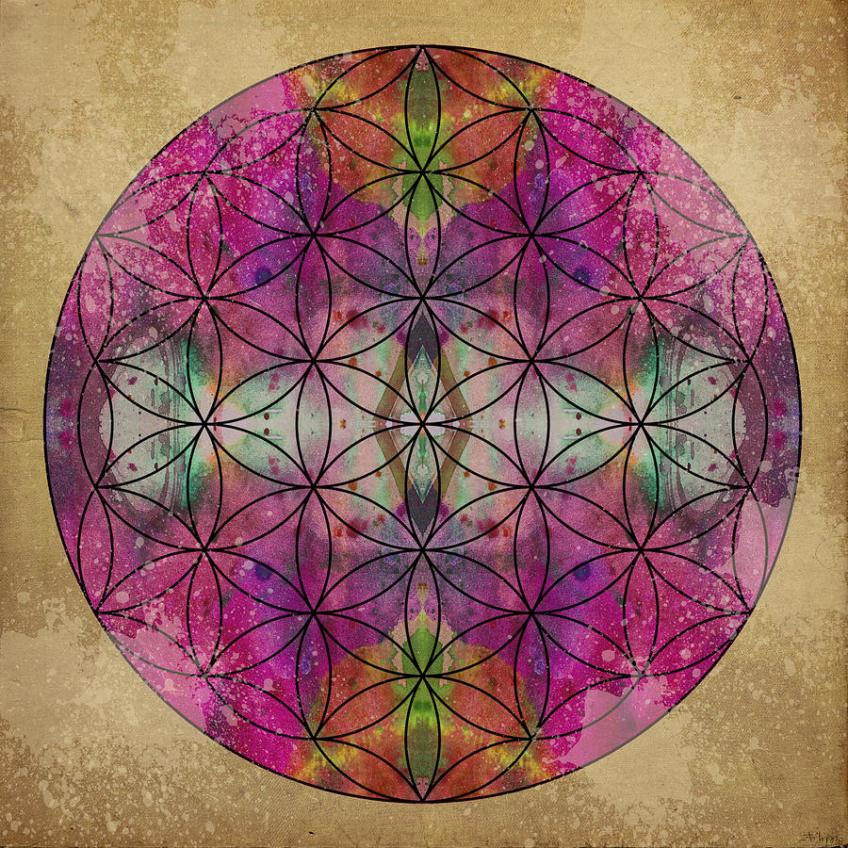 Flower of Life | Filippo