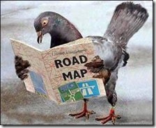 Winston the Pigeon