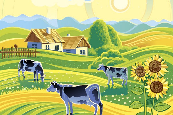 Country Cows