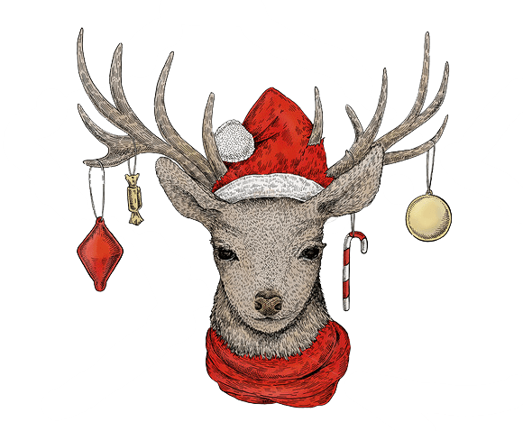 Christmas Deer