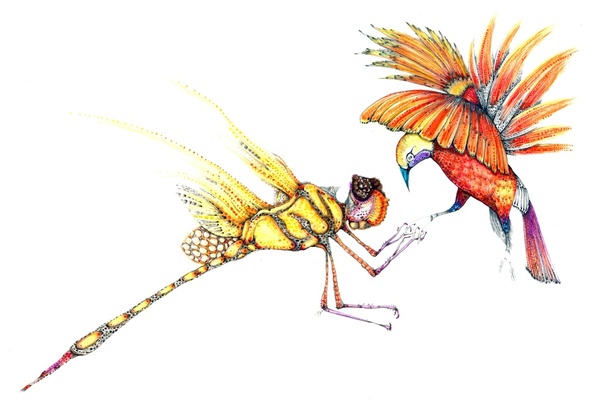 Dragonfly & Bird of Paradise