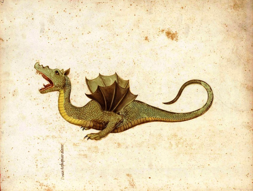 Medieval Dragon