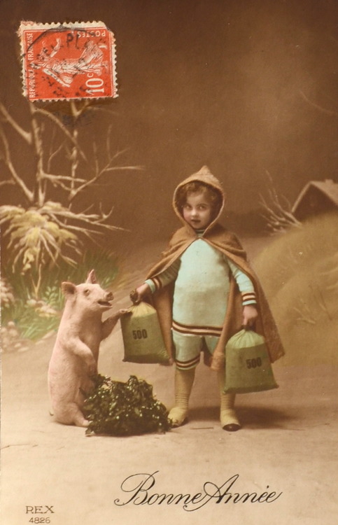 Vintage Truffle Pig