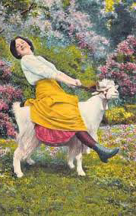 Goat Rider