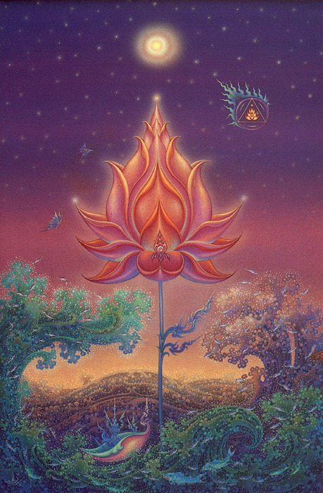 Lotus Flower