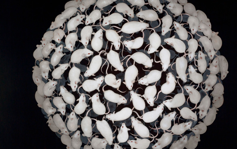 Rat Sphere | Tiffany Bozic