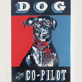 Dog is my Co-Pilot