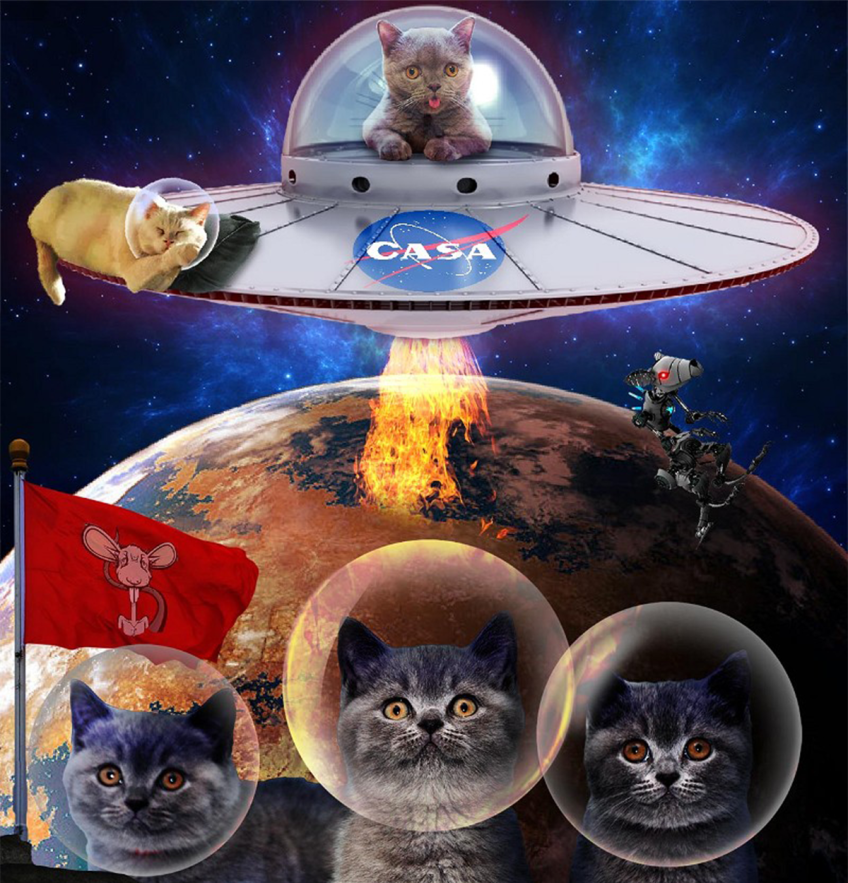 Casa Catstronauts