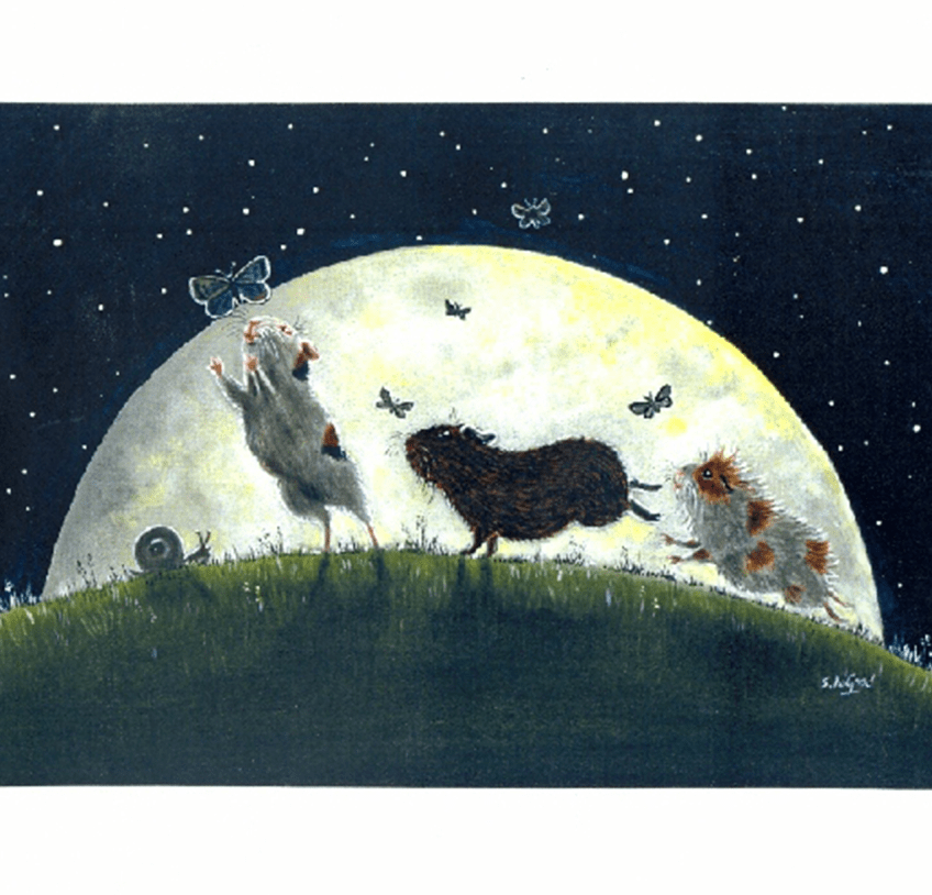 Moon Chasing