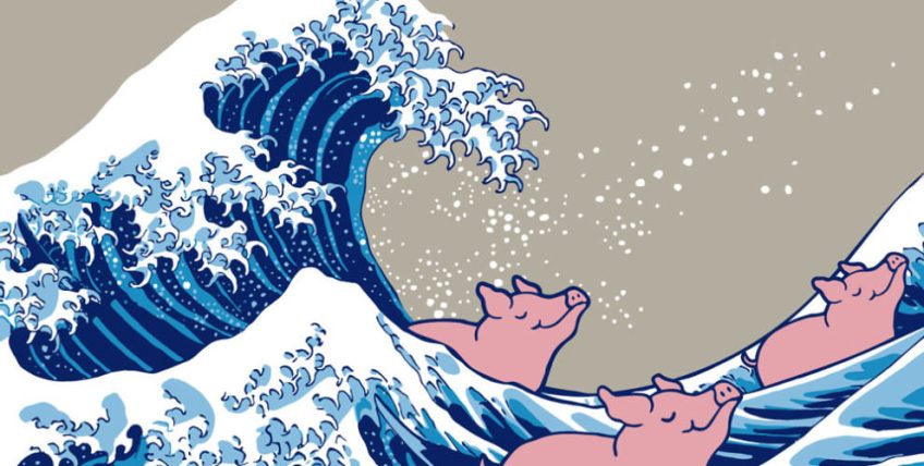 Pig Surf | co-create