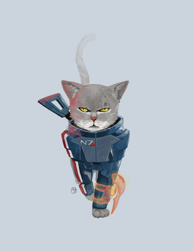 space cat