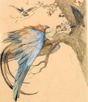 Blue Bird | Sergey Solomko