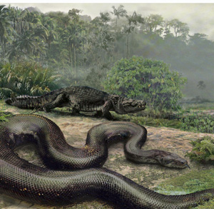 Titanoboa | Jason Bourque