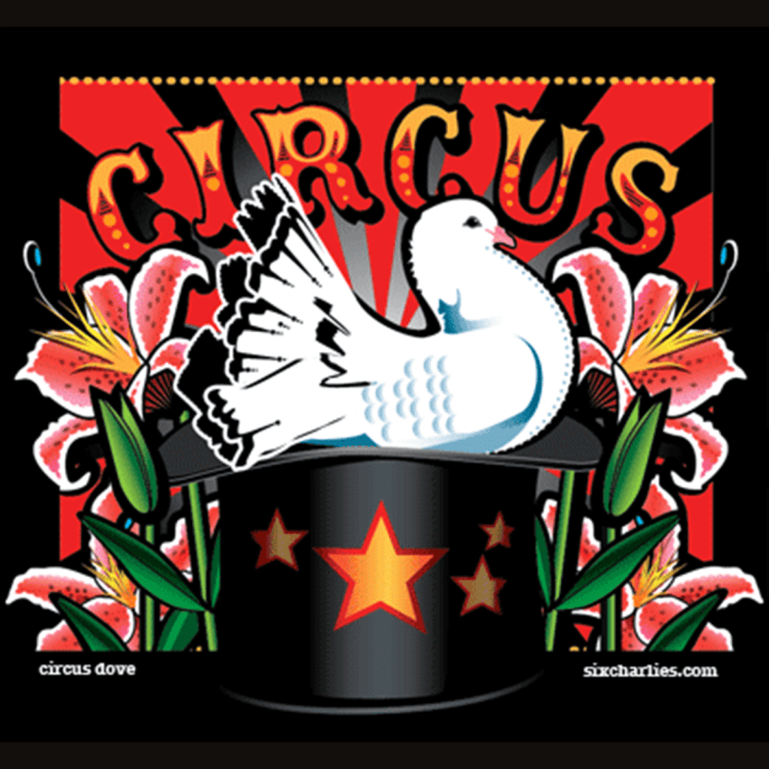 Circus Dove