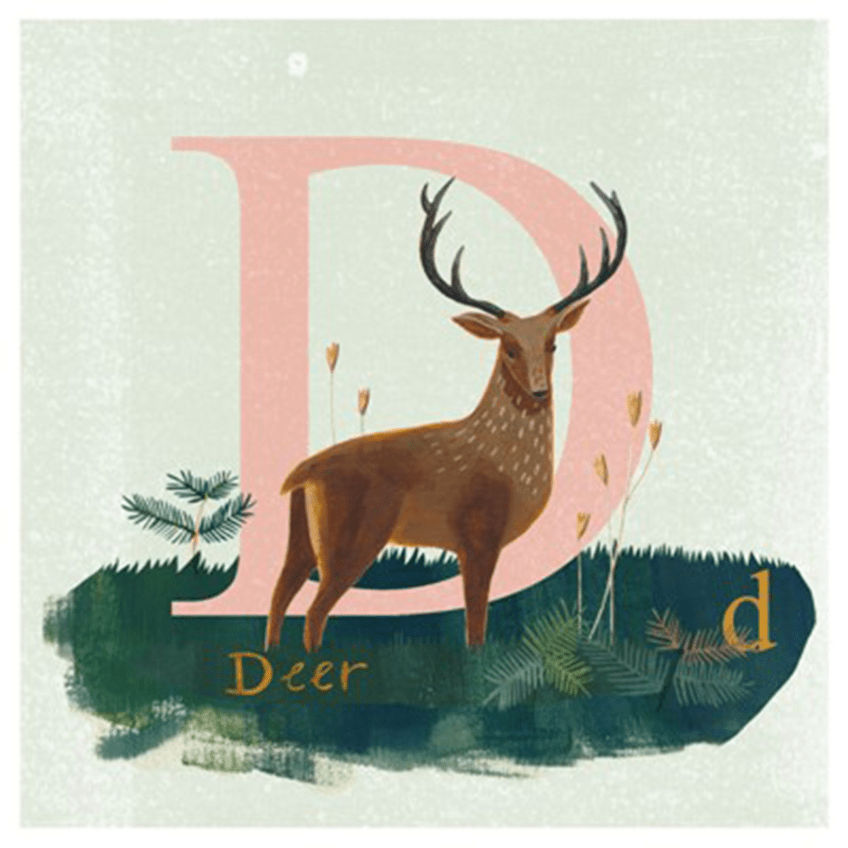Deer | Nozomi Inoue