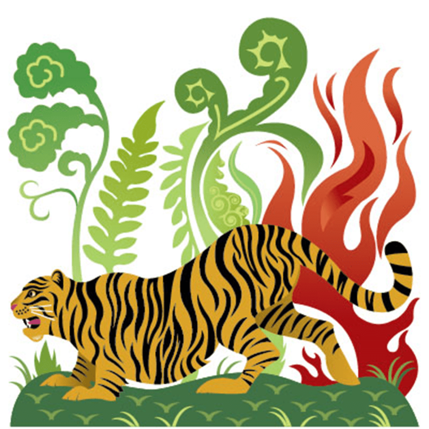 Tiger Stripes | Ron Tanovitz