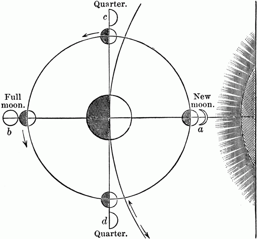 Moon Phases | clip